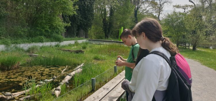 Der Natur auf der Spur