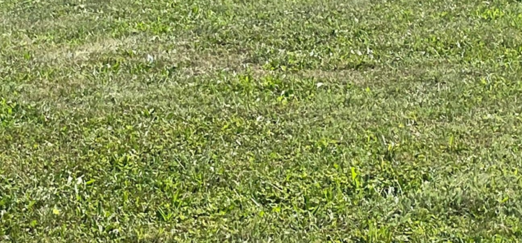 Was kriecht denn da?