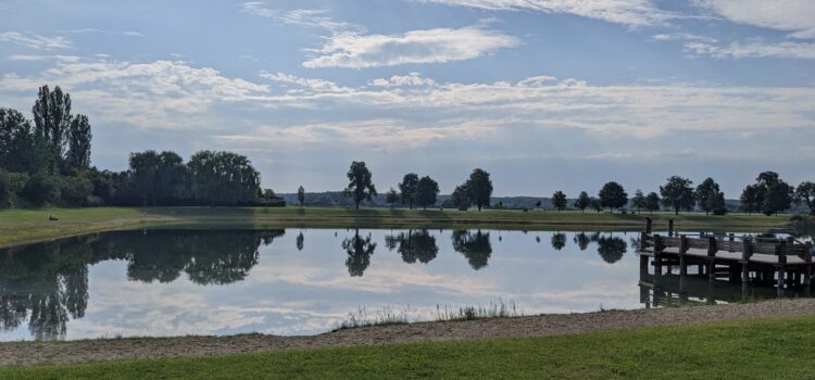 Werken mit Naturmaterialien