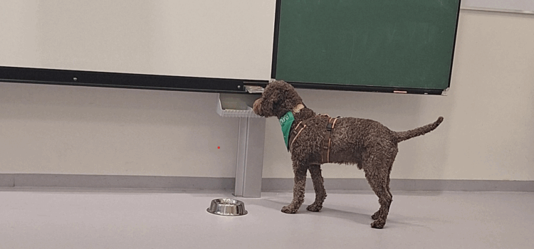 Tiergestützte Umweltpädagogik