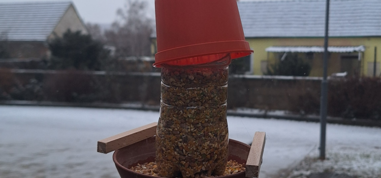 Ein Restaurant für Vögel