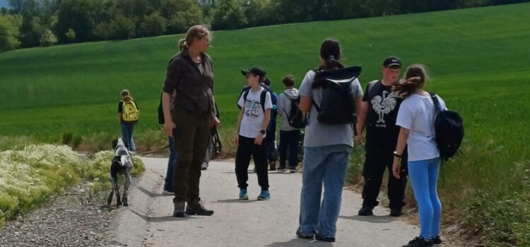 Spannende Stationen bei den Waldjugendspielen